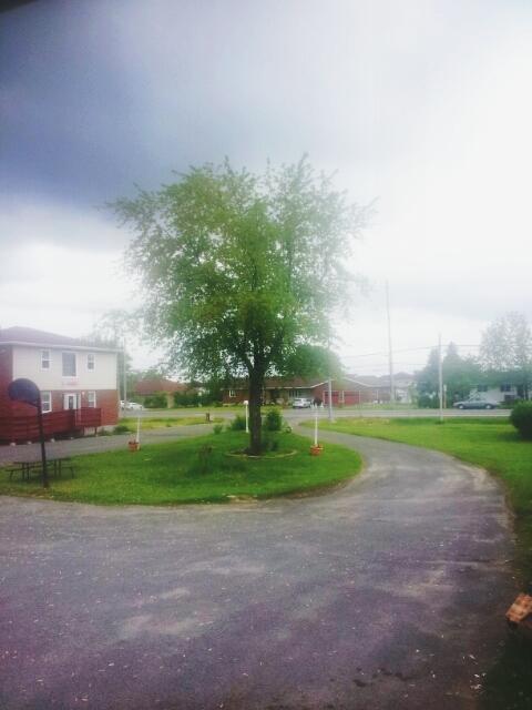 Welcome Traveller Motel Kingston Exterior photo